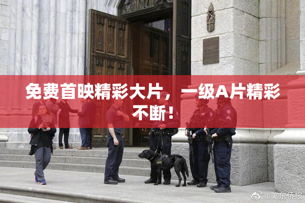 免费首映精彩大片，一级A片精彩不断！