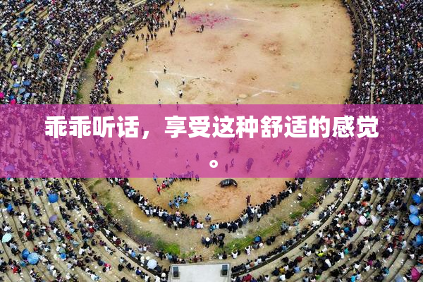 乖乖听话，享受这种舒适的感觉。