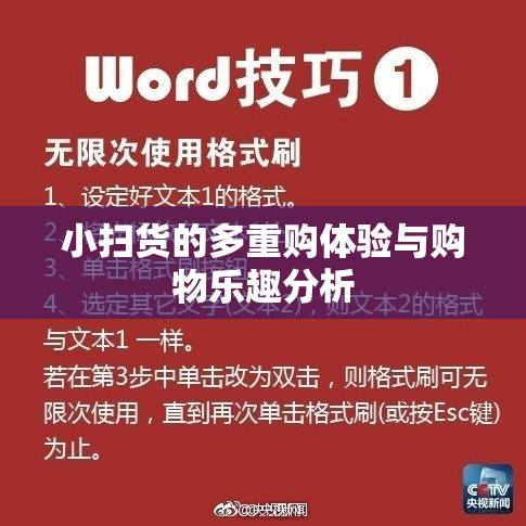 小扫货的多重购体验与购物乐趣分析