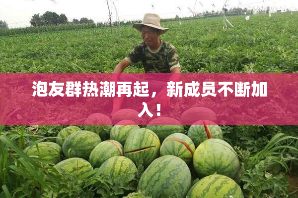 泡友群热潮再起，新成员不断加入！