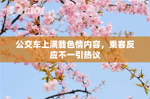 公交车上满载色情内容，乘客反应不一引热议