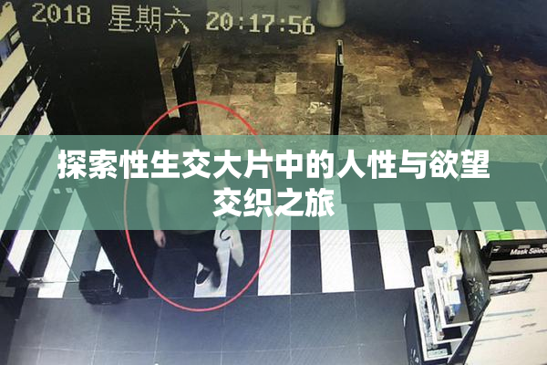探索性生交大片中的人性与欲望交织之旅
