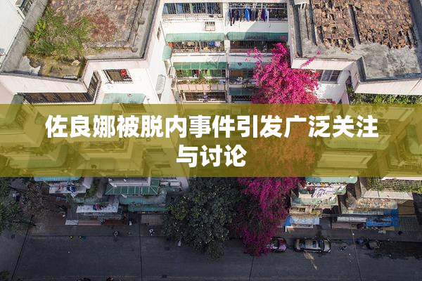 佐良娜被脱内事件引发广泛关注与讨论
