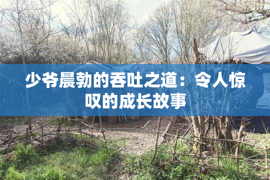 少爷晨勃的吞吐之道：令人惊叹的成长故事