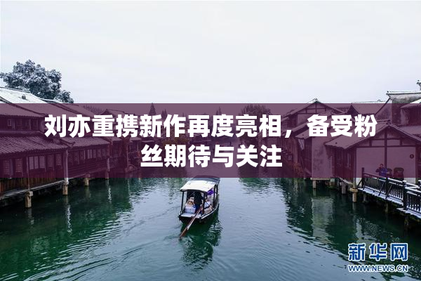 刘亦重携新作再度亮相，备受粉丝期待与关注