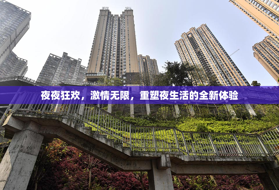 夜夜狂欢，激情无限，重塑夜生活的全新体验