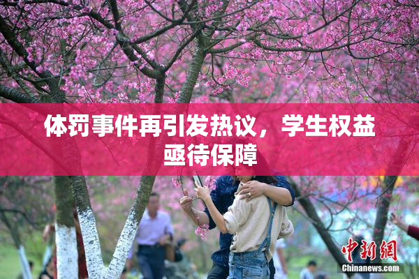 体罚事件再引发热议，学生权益亟待保障