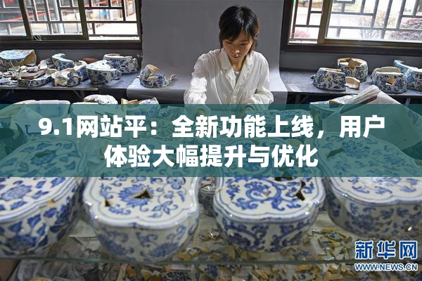 9.1网站平：全新功能上线，用户体验大幅提升与优化