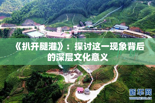 《扒开腿灌》：探讨这一现象背后的深层文化意义