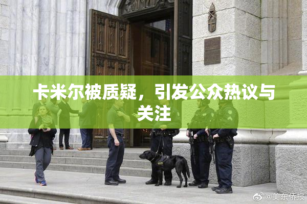 卡米尔被质疑，引发公众热议与关注