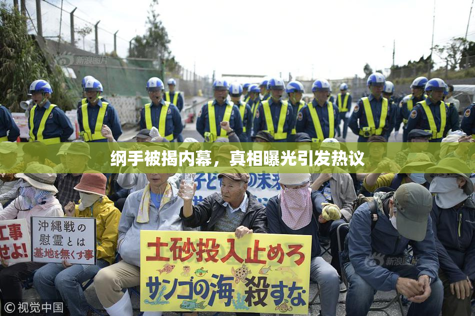纲手被揭内幕，真相曝光引发热议