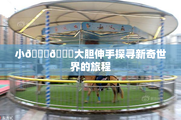 小🐔🐔大胆伸手探寻新奇世界的旅程