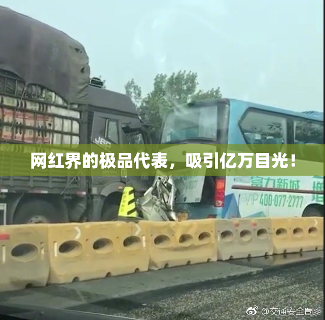 网红界的极品代表，吸引亿万目光！