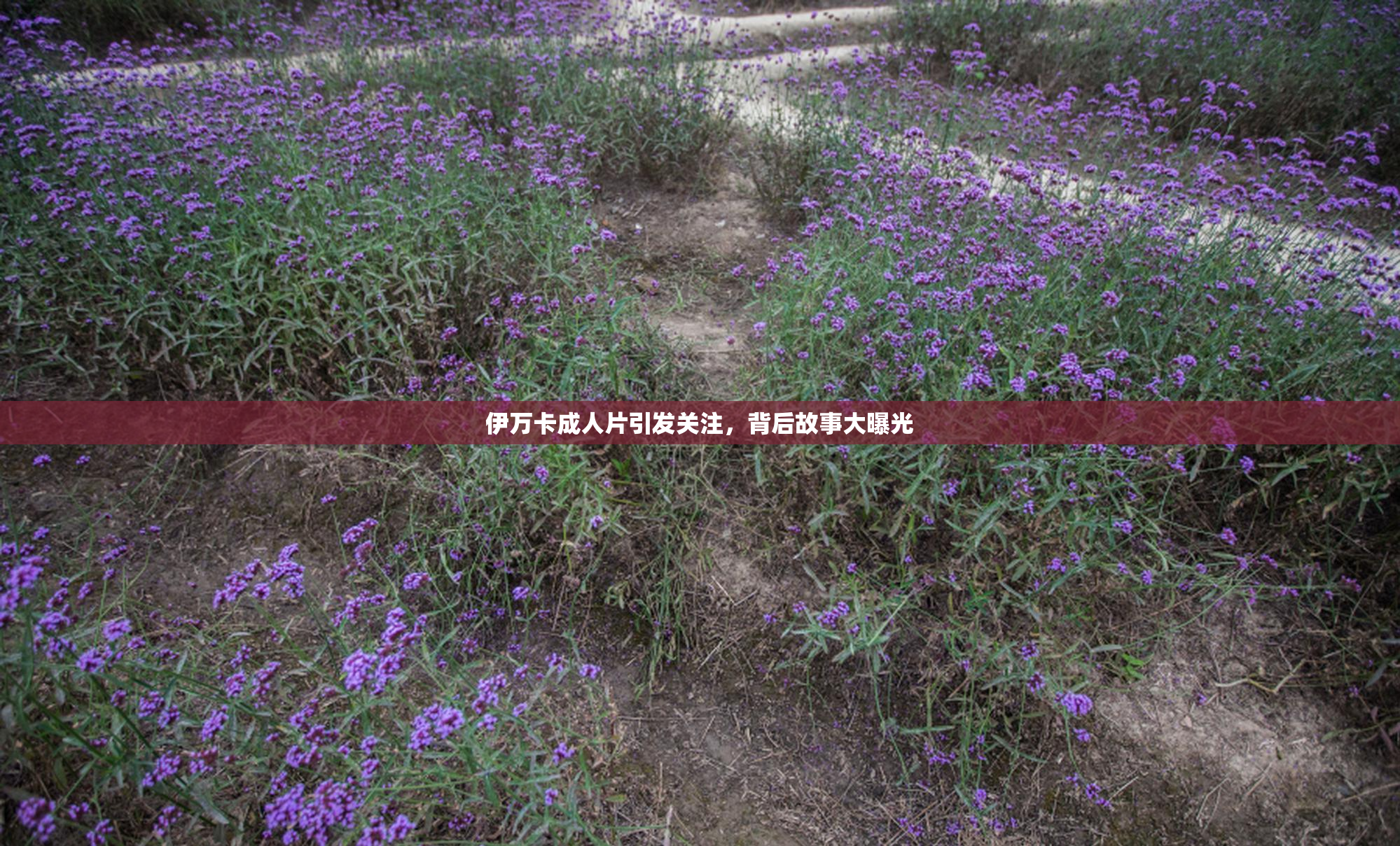 伊万卡成人片引发关注，背后故事大曝光
