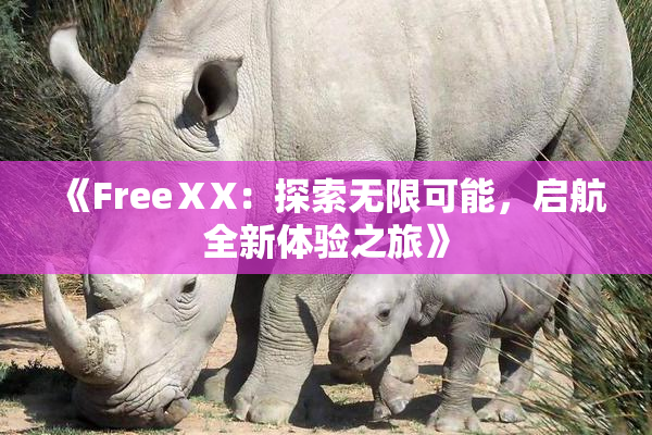 《FreeⅩX：探索无限可能，启航全新体验之旅》