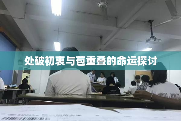 处破初衷与苞重叠的命运探讨