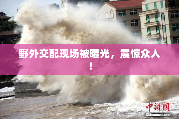野外交配现场被曝光，震惊众人！