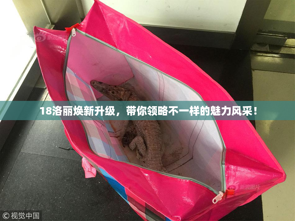 18洛丽焕新升级，带你领略不一样的魅力风采！