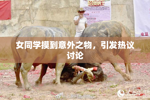 女同学摸到意外之物，引发热议讨论