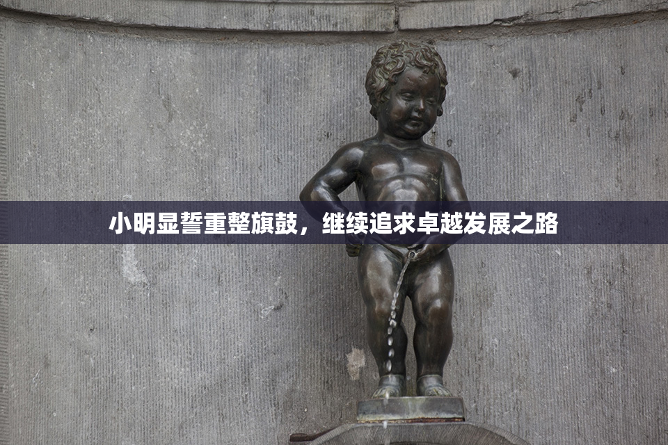 小明显誓重整旗鼓，继续追求卓越发展之路
