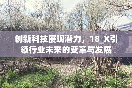 创新科技展现潜力，18_X引领行业未来的变革与发展