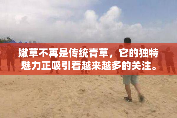 嫩草不再是传统青草，它的独特魅力正吸引着越来越多的关注。