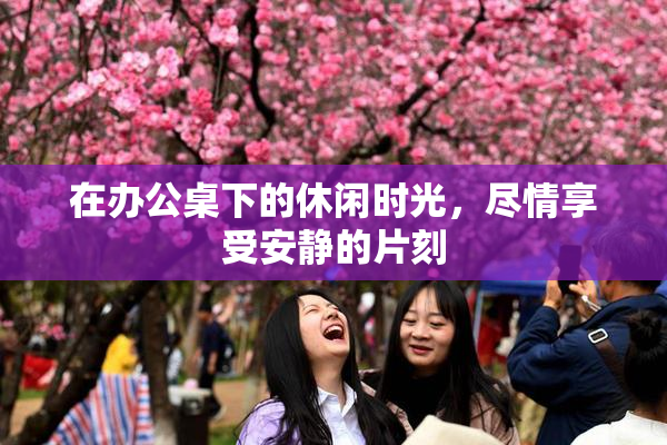 在办公桌下的休闲时光，尽情享受安静的片刻
