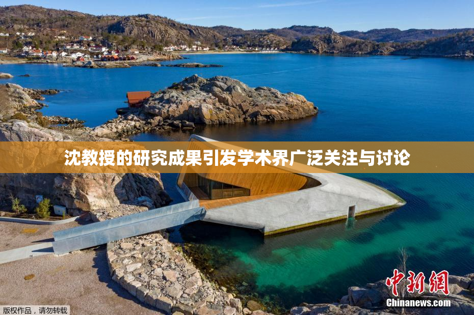 沈教授的研究成果引发学术界广泛关注与讨论