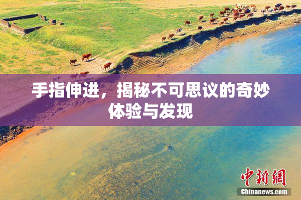 手指伸进，揭秘不可思议的奇妙体验与发现