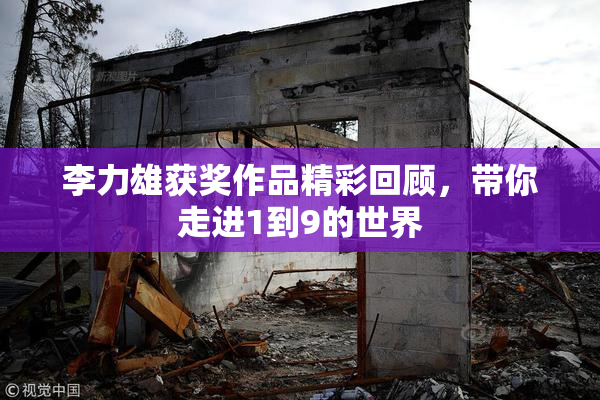 李力雄获奖作品精彩回顾，带你走进1到9的世界