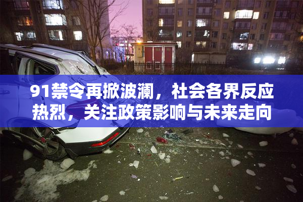91禁令再掀波澜，社会各界反应热烈，关注政策影响与未来走向