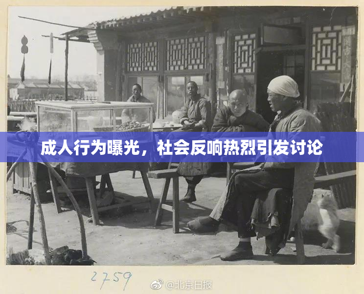 成人行为曝光，社会反响热烈引发讨论