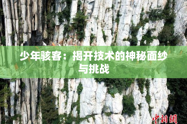 少年骇客：揭开技术的神秘面纱与挑战