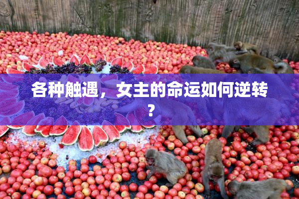 各种触遇，女主的命运如何逆转？