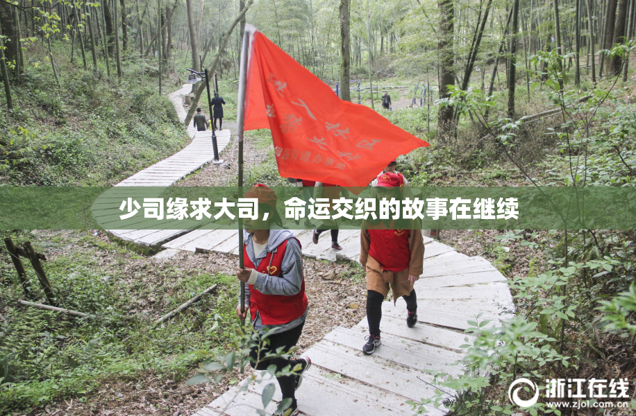 少司缘求大司，命运交织的故事在继续