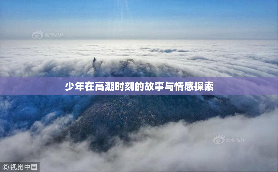 少年在高潮时刻的故事与情感探索