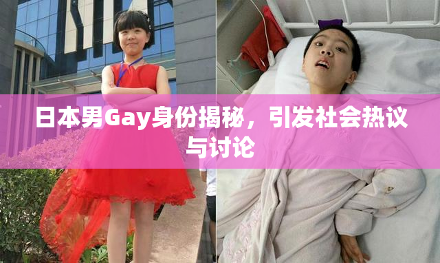 日本男Gay身份揭秘，引发社会热议与讨论