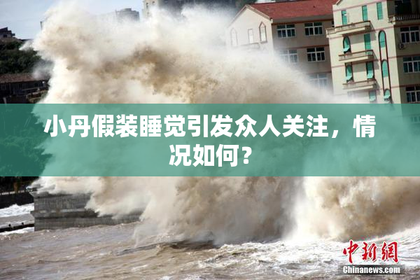 小丹假装睡觉引发众人关注，情况如何？