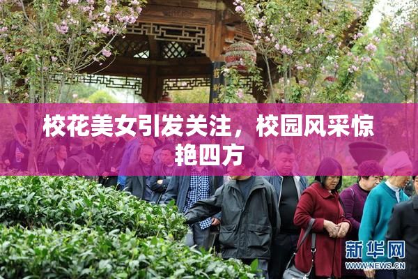 校花美女引发关注，校园风采惊艳四方