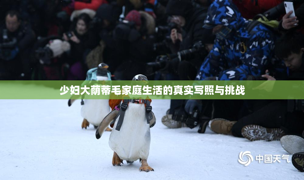 少妇大荫蒂毛家庭生活的真实写照与挑战
