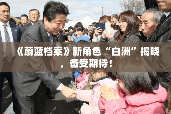 《蔚蓝档案》新角色“白洲”揭晓，备受期待！