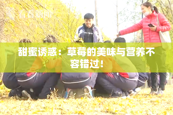甜蜜诱惑：草莓的美味与营养不容错过！