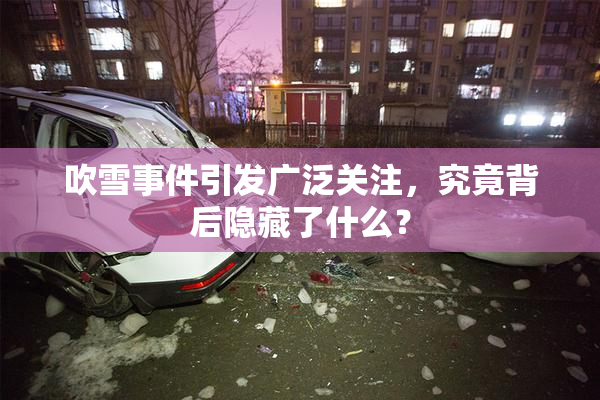 吹雪事件引发广泛关注，究竟背后隐藏了什么？