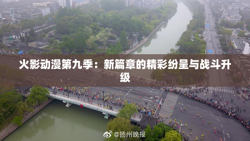 火影动漫第九季：新篇章的精彩纷呈与战斗升级