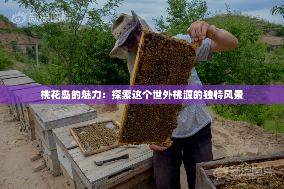桃花岛的魅力：探索这个世外桃源的独特风景