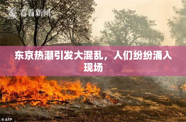 东京热潮引发大混乱，人们纷纷涌入现场