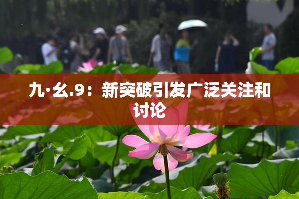 九·幺.9：新突破引发广泛关注和讨论