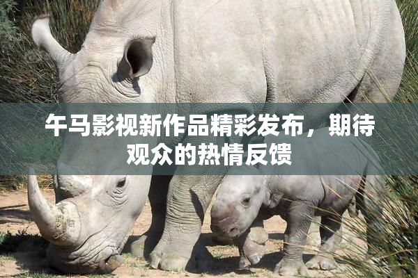 午马影视新作品精彩发布，期待观众的热情反馈