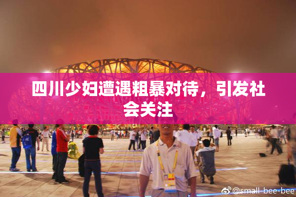 四川少妇遭遇粗暴对待，引发社会关注