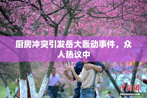 厨房冲突引发岳大轰动事件，众人热议中
